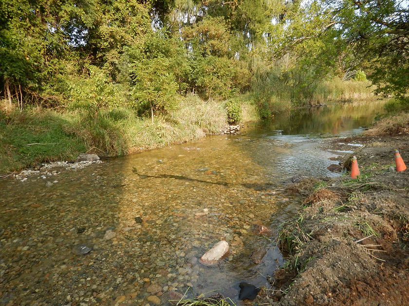 DSCN1475.JPG