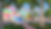 FROMPARKLOOKINGATCOURTYARD.jpg