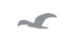 FLR-logo_color_transparentbackground_edi