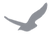 FLR-logo_color_transparentbackground_edi