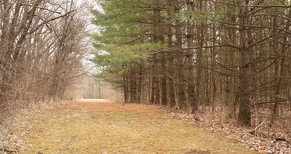 2022-04 McVey Master Plan- Toria Photos (42).jpg
