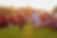 480851758_1031990542289654_5029058228136798676_n.jpg